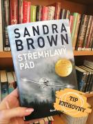 Střemhlavý pád – Sandra Brown  1